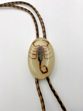 Vintage Scorpion Bolo Tie Real Taxidermy Specimen in Lucite Resin Southwestern